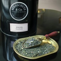 SENCHA KOMBUCHA